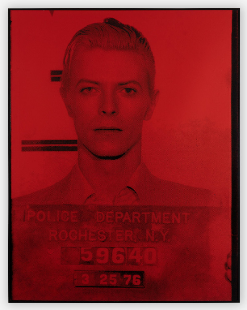 David Bowie (Pig Portraits) (red)