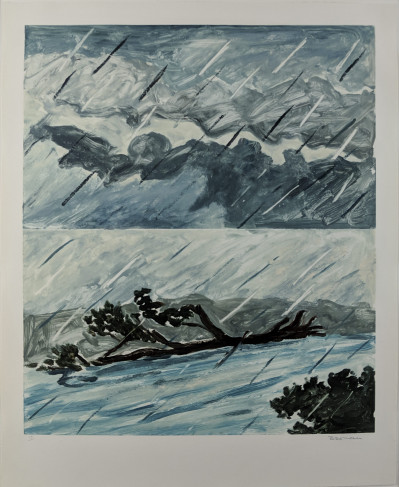 Image for Lot Richard Bosman - Storm Flood II (Rain II)