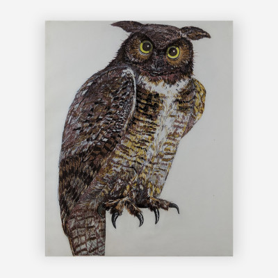 Image for Lot Don Nice - Owl