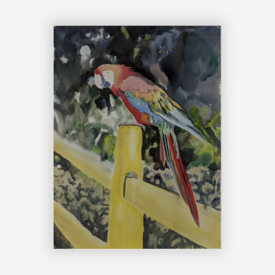 Image for Lot Roger Howrigan - Parrot