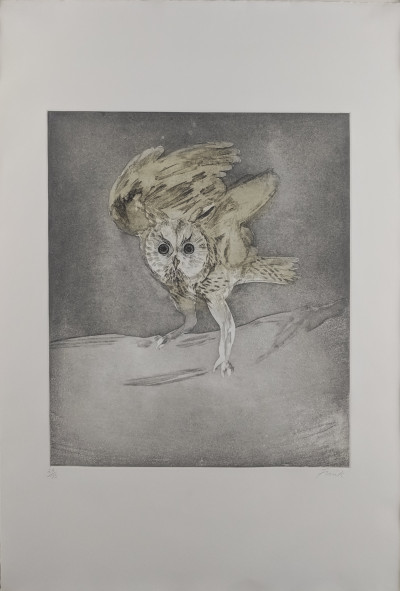 Elisabeth Frink - Long Eared Owl