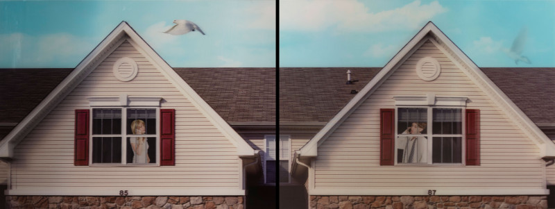 Margeaux Walter - Long Distance (diptych)