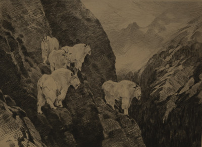 Image for Lot Carl Rungius - Goats