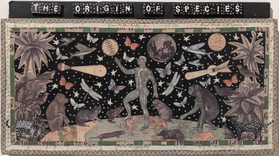 Image for Lot Mary Cooper - Origin of Species