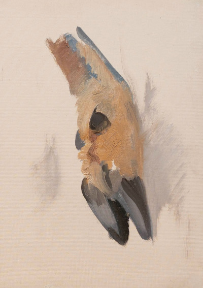 George Browne - 6 Deer studies