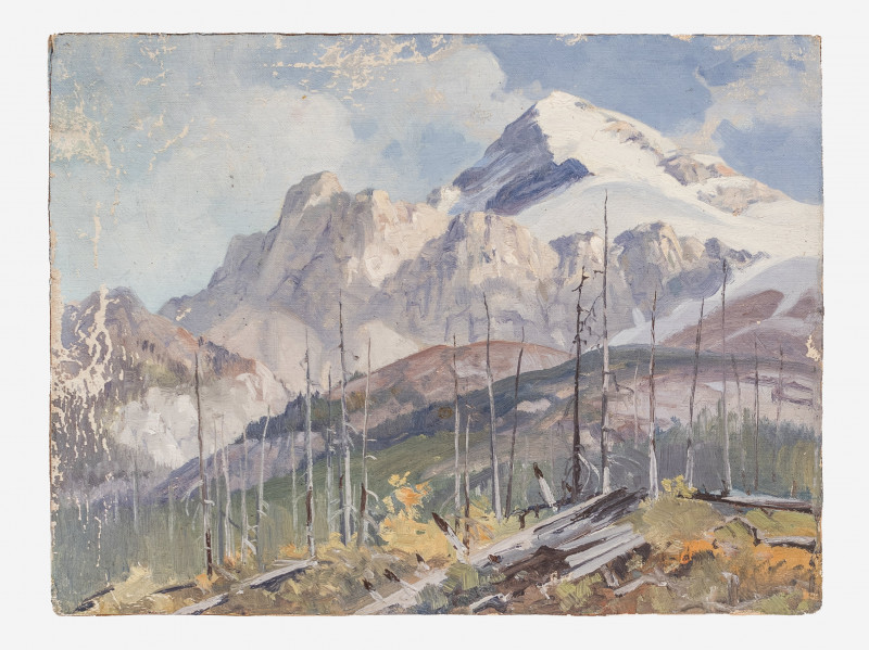 George Browne - 4 Rocky Mountain studies