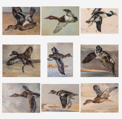 Image for Lot George Browne - 9 Waterfowl studies