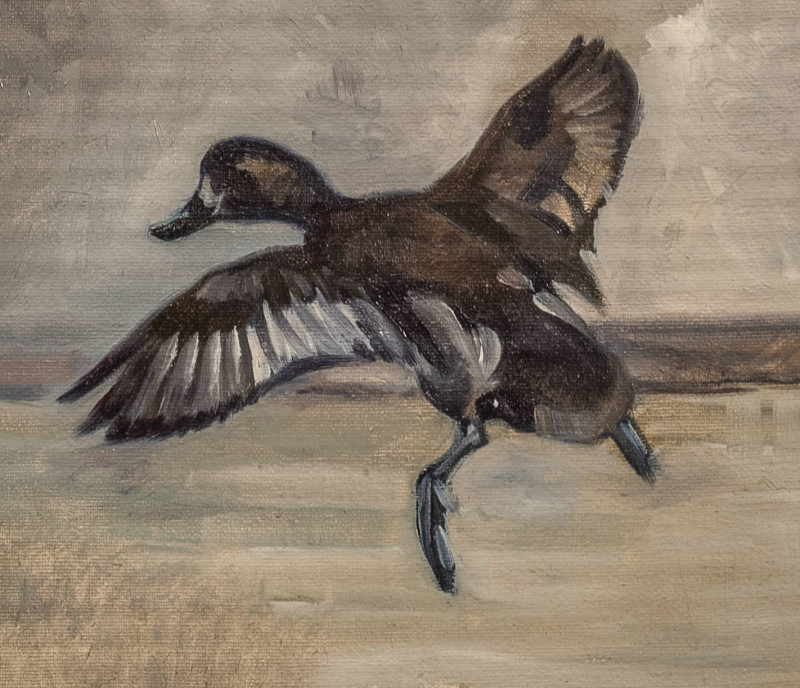 George Browne - 9 Waterfowl studies