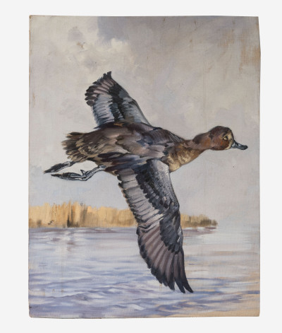 George Browne - 9 Waterfowl studies