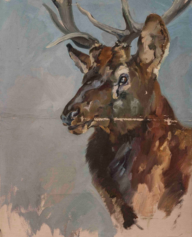 George Browne - 6 Deer and Elk studies