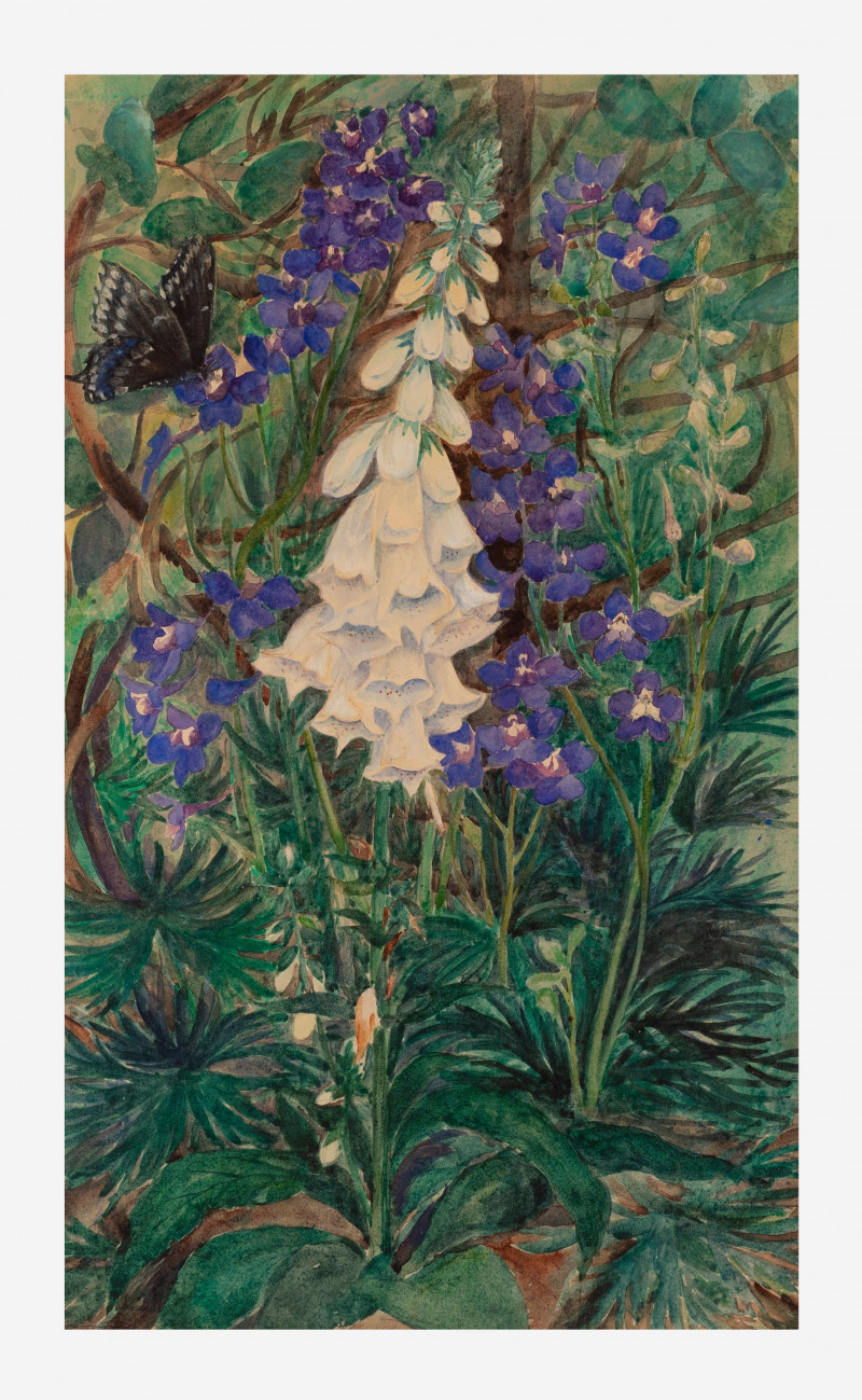 after John LaFarge - Foxglove, Lupin and Swallowtail Butterfly