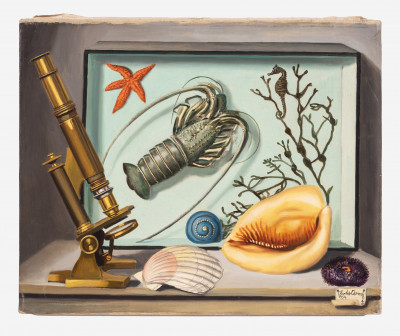 Charles Cerny - Still Life with Microscope and Nautical Elements