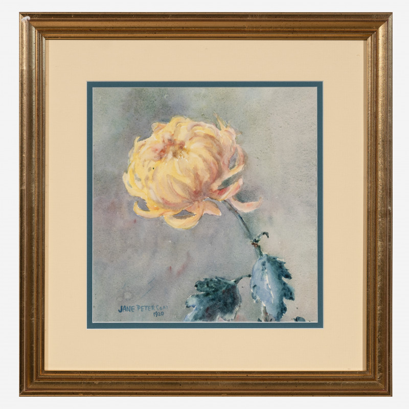Jane Peterson - Untitled (Flower petals)