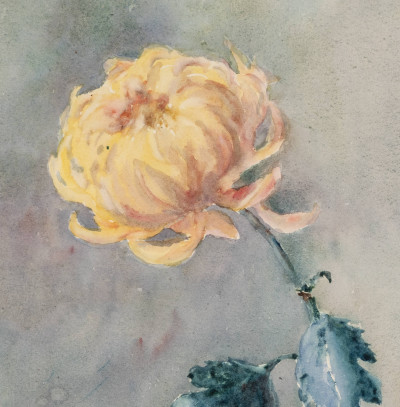 Jane Peterson - Untitled (Flower petals)
