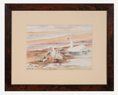 Unknown Artist - Seagull and Ducks