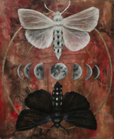 Megan Buccere - Untitled (Moth)