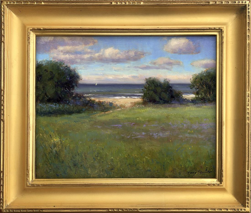 Tony D'Amico - A View to the Sea