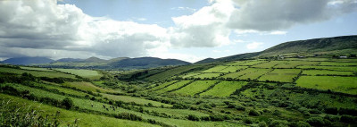 Rosemary Hawkins - Irish Panorama with Hills