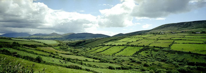Rosemary Hawkins - Irish Panorama with Hills