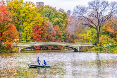 Image for Lot Neil Allen - Fall Fishing in Central Park