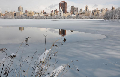 Anne-Marie Dannenberg - View from the Reservoir in Winter