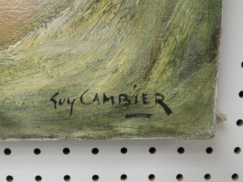 Guy Cambier - Half Portrait