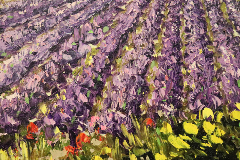 Peter van Berkel - Lavender Rows in Provence
