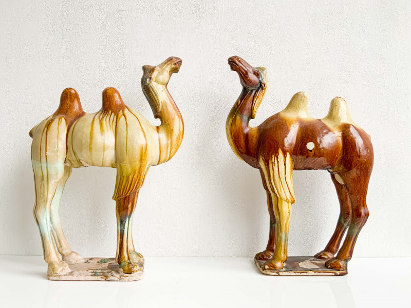 Pair of Chinese Sancai Glazed Bactrian Camels