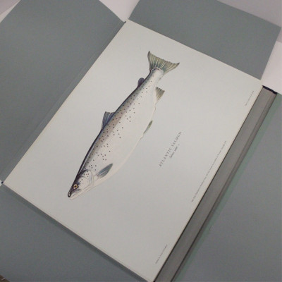 Salmon of The World signed