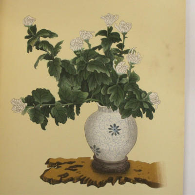 Chinese & Japanese Floral Art