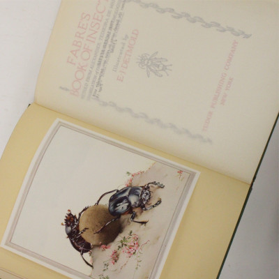 J.H. Fabre Book of Insects