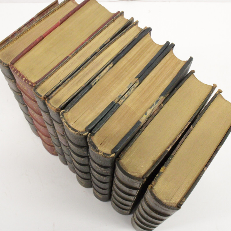 9 Leatherbound Volumes Biography