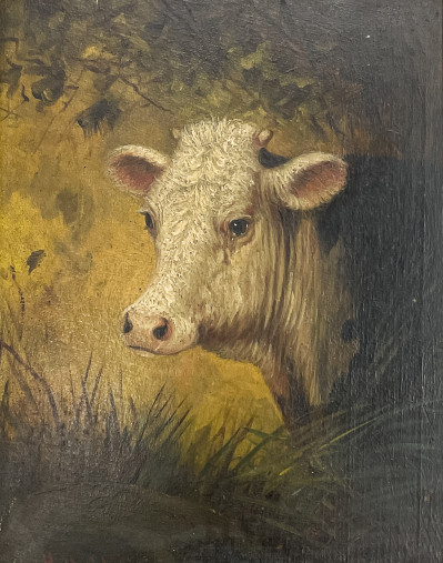 Image for Lot Henry H. Cross - Portrait of a Cow