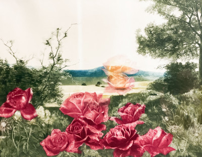 Image for Lot G.H. Rothe - Rosescapes