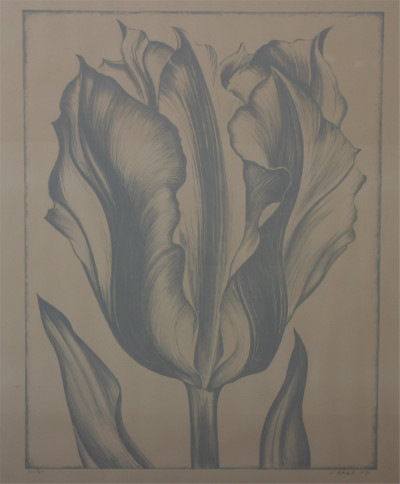 Image for Lot Lowell Nesbitt - Tulip (Grey), c 1971 Print