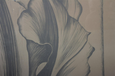 Lowell Nesbitt - Tulip (Grey), c 1971 Print