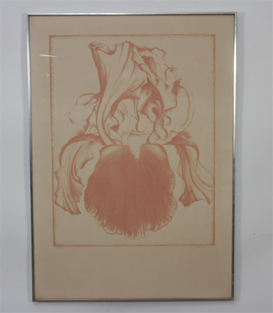 Lowell Nesbitt - Iris (Soft Rose) c 1971 Print