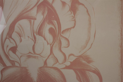 Lowell Nesbitt - Iris (Soft Rose) c 1971 Print