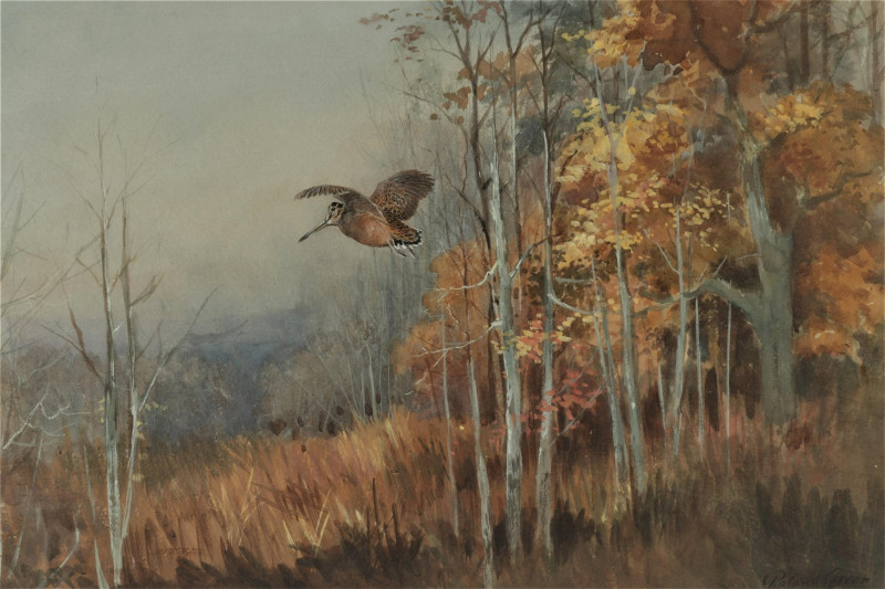 Roland Green - Grouse in Autumn