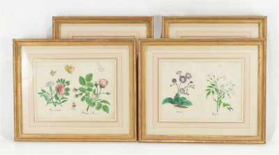 Image for Lot Group of Botanical Watercolors