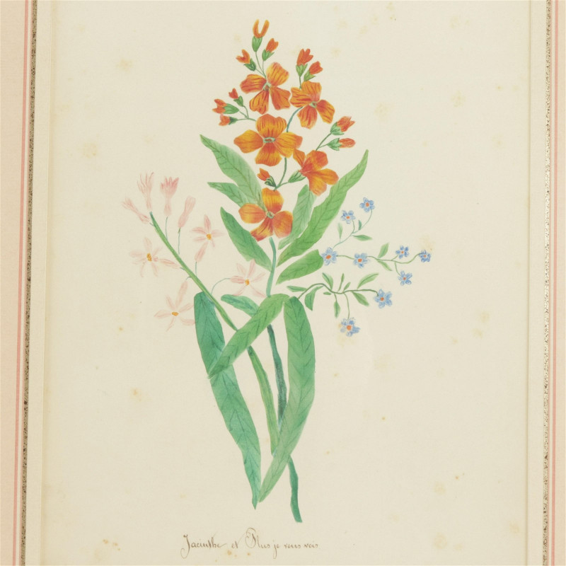 Group of Botanical Watercolors