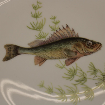 Set of 12 Richard Ginori Porcelain Fish Plates