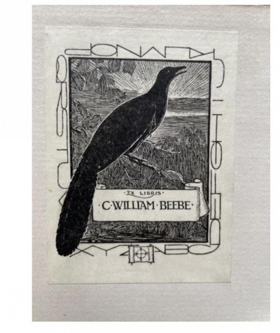Naturalist Charles William Beebe copy of Newall