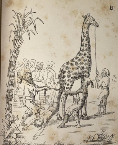 AFRICA Zulu coffee chief Peter Hansen's Life 1874
