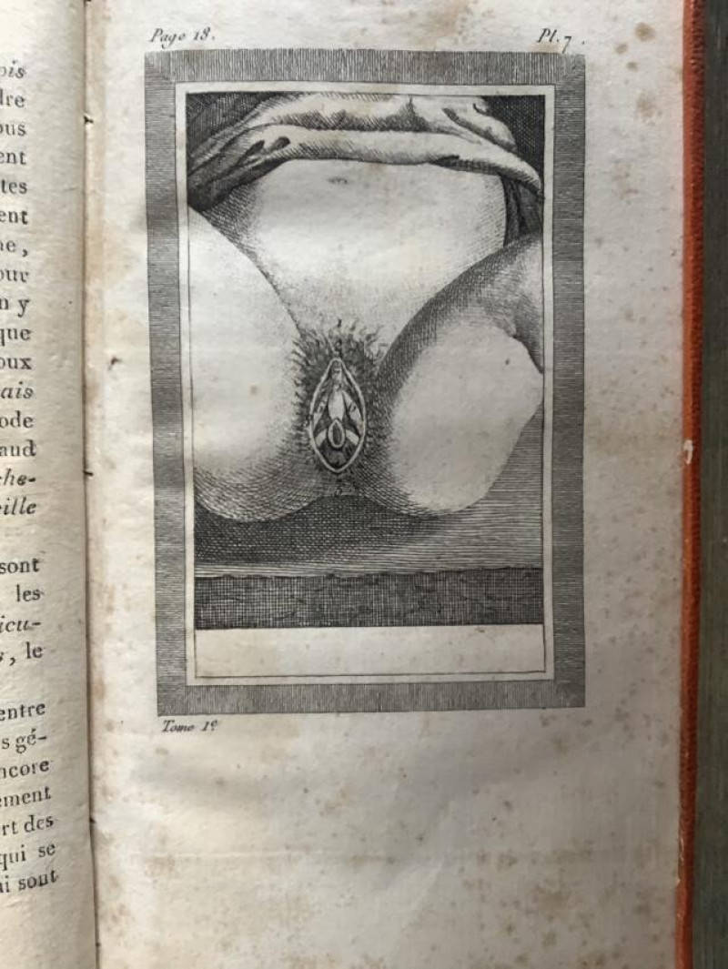 1810 Conjugal Love, male and female anatomy