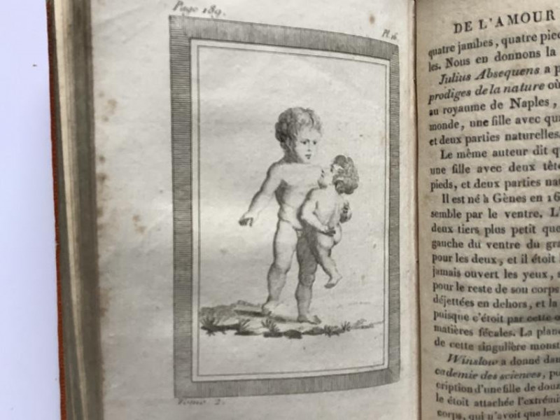 1810 Conjugal Love, male and female anatomy