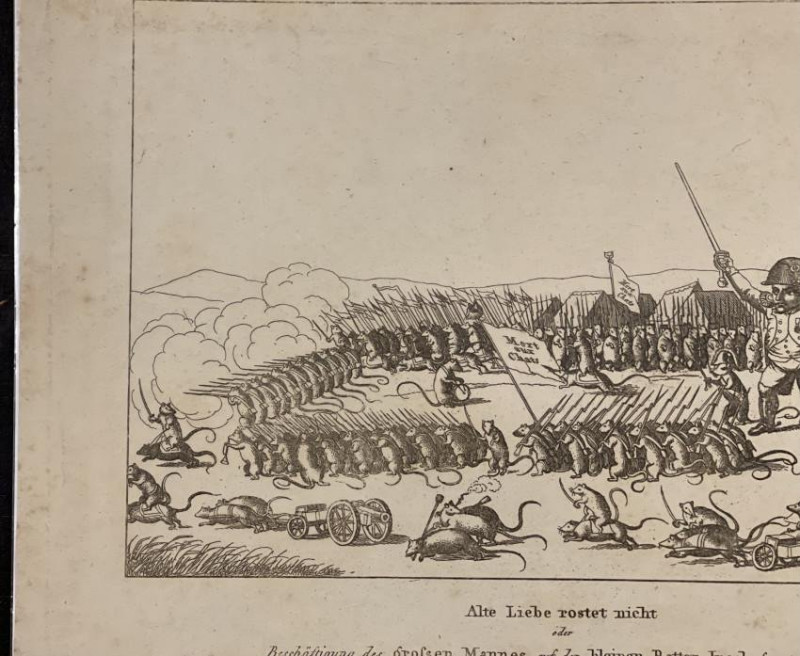 Rare satirical engraving Napoleon and rat army