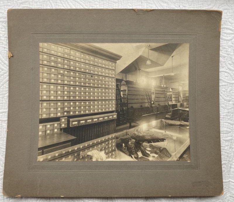 9 photos: shops and shop interiors c.1900-1927