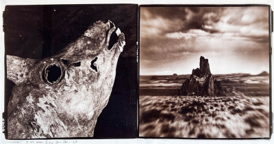Image for Lot Gwen Akin and Allan Ludwig - Monument (2 Works)