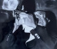 Image for Artist Weegee (Arthur Fellig)